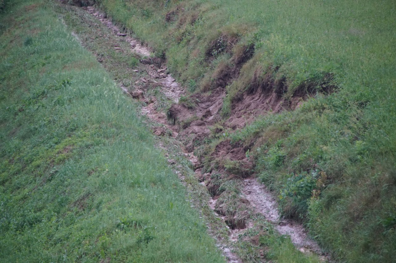 DSC05734