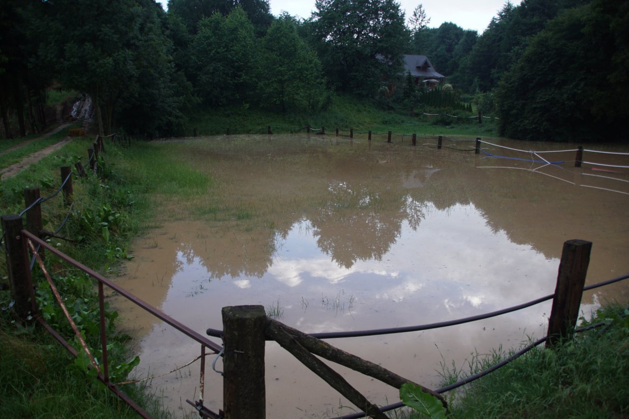 DSC05750