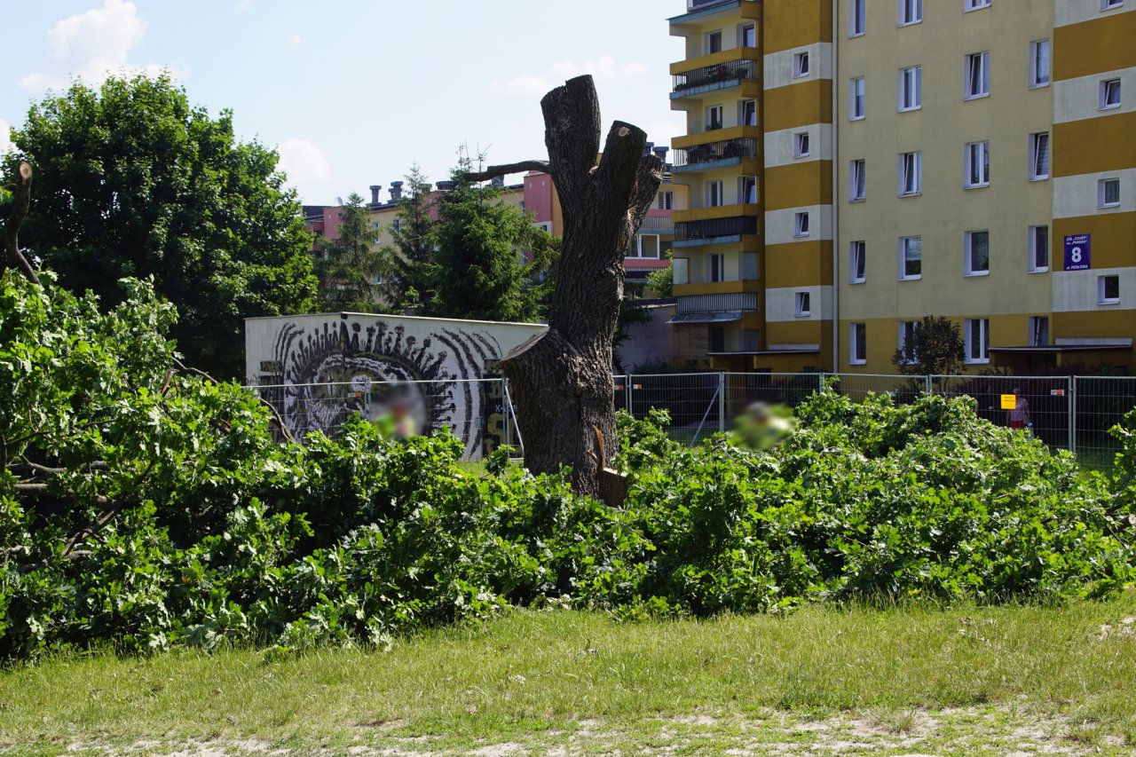 DSC06195