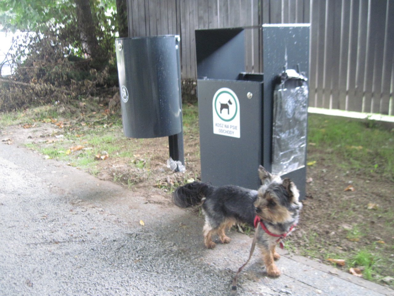 IMG_6302