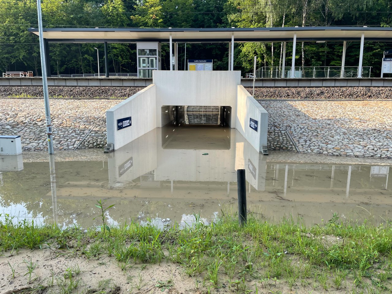 image0 (1)