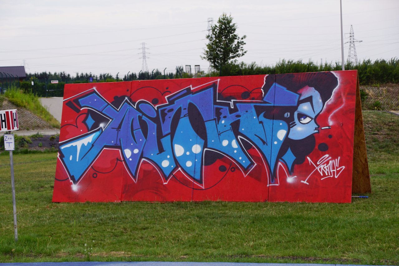 DSC07713