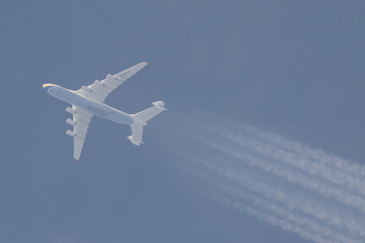 FP_08880