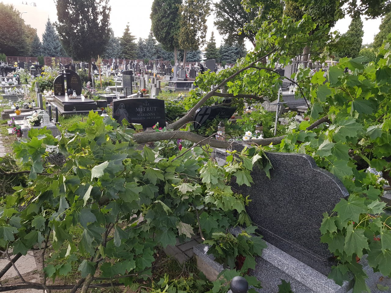 20210817_184924
