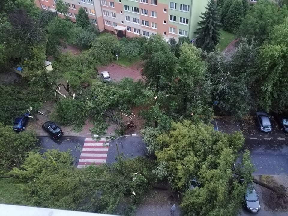 237482741_359466372563692_8043148480547595033_n