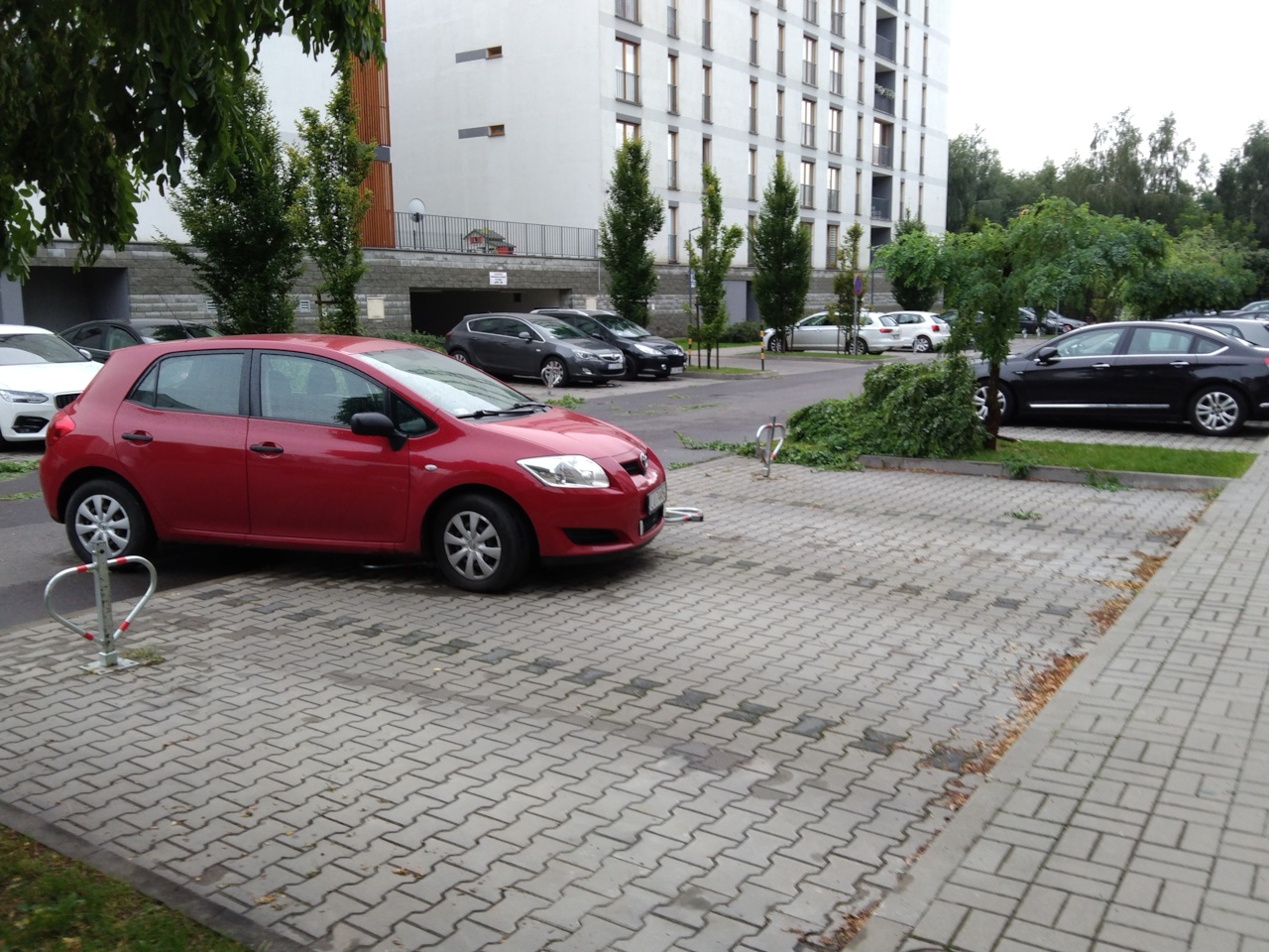 IMG_20210817_075056