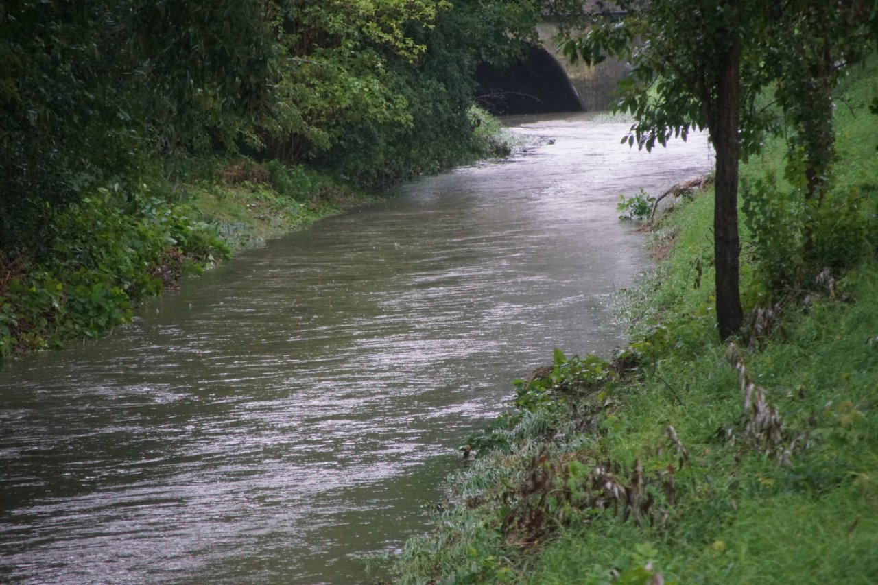 DSC09735