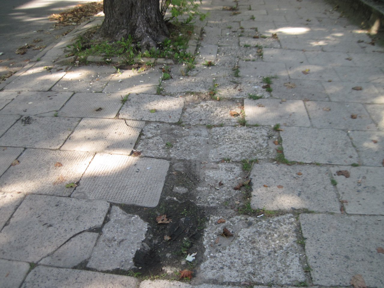 IMG_6768