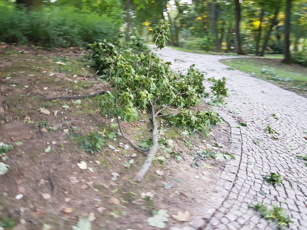 20210818_183600