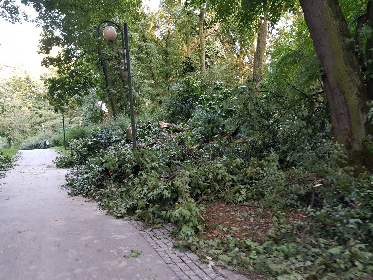 20210818_183607