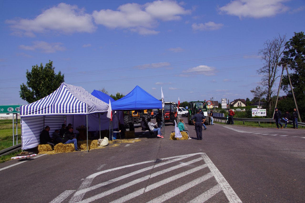 DSC09785