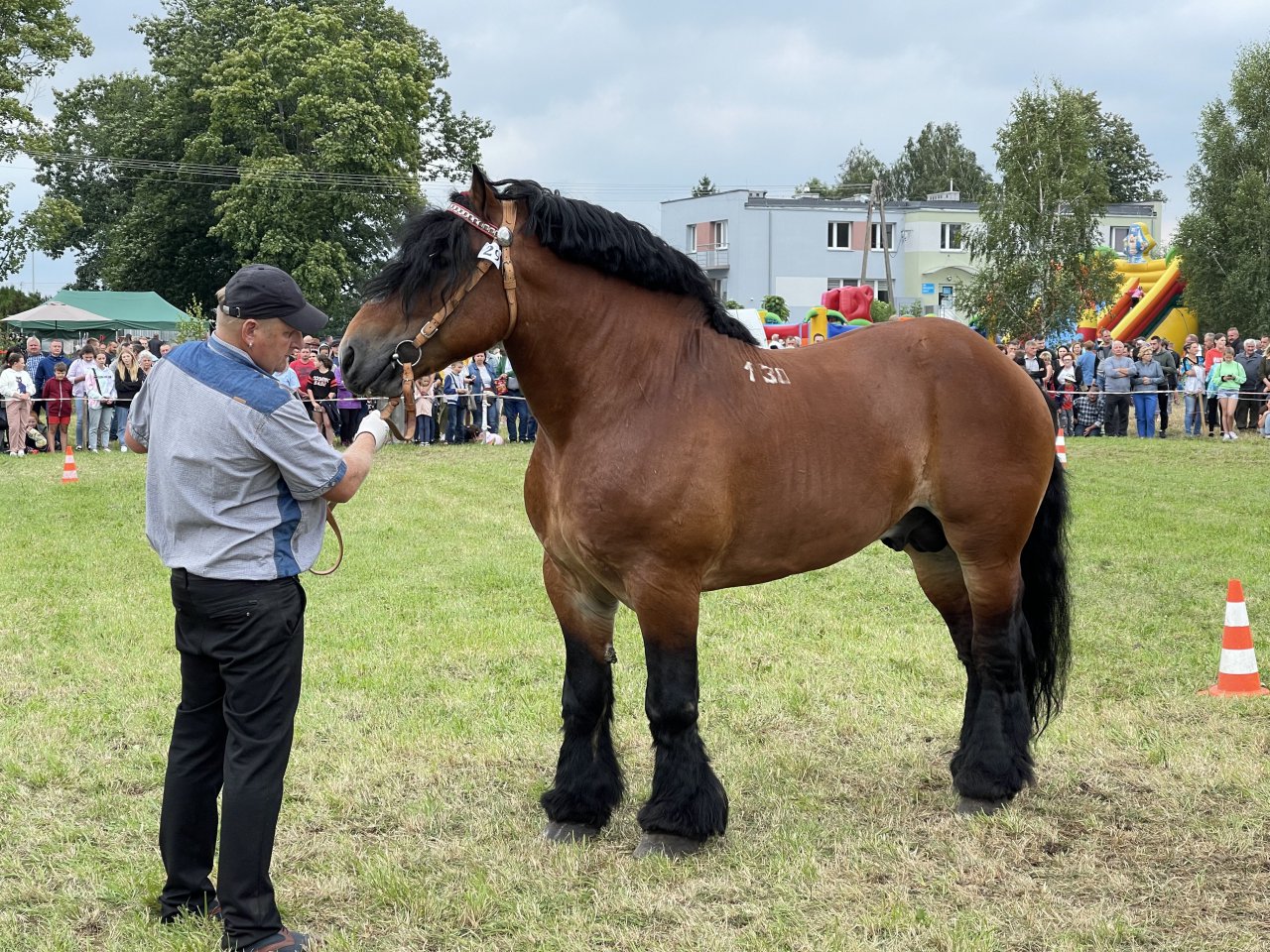 IMG_3934