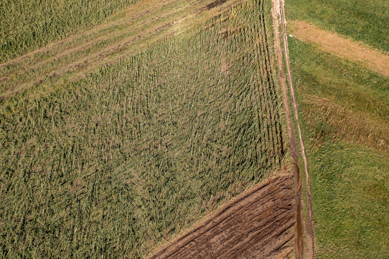 DJI_0042-HDR