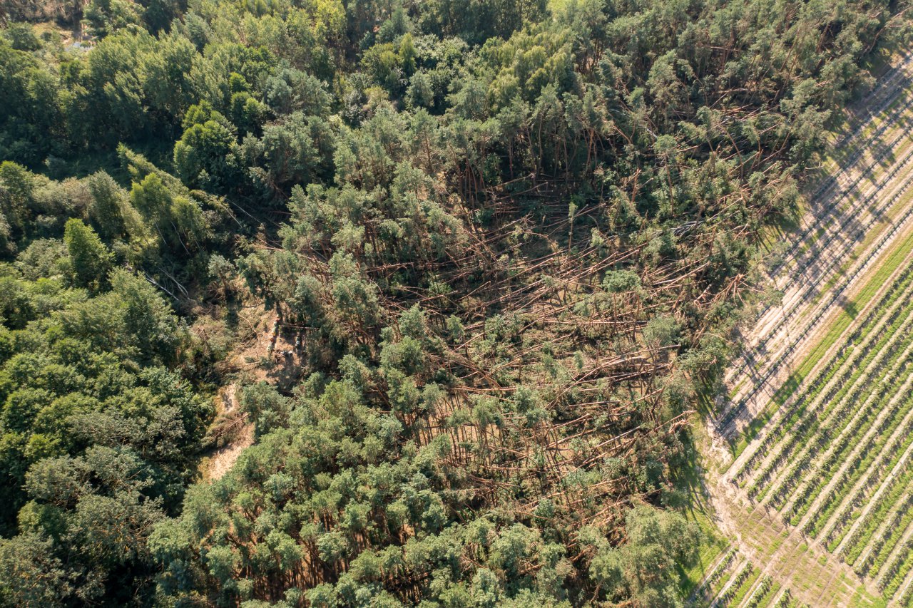 DJI_0073-HDR