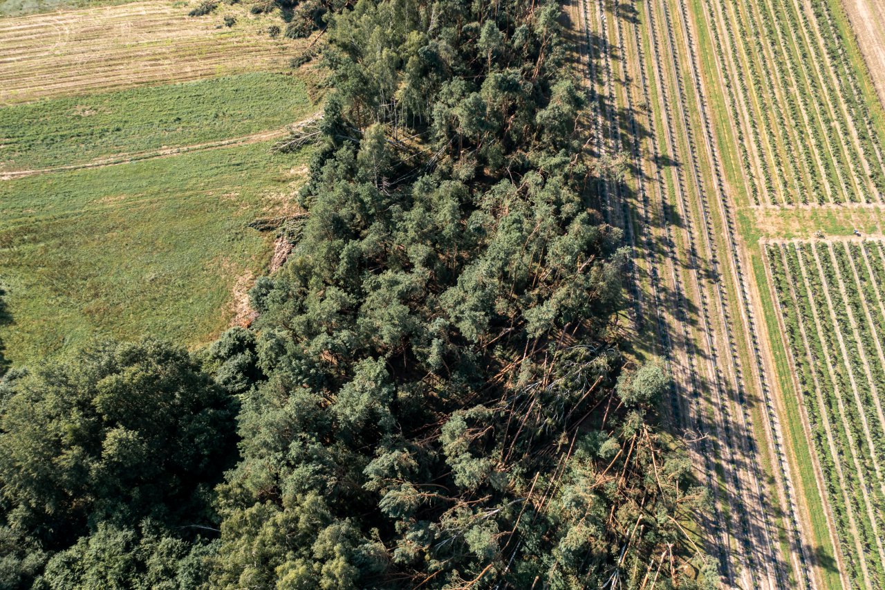 DJI_0078-HDR