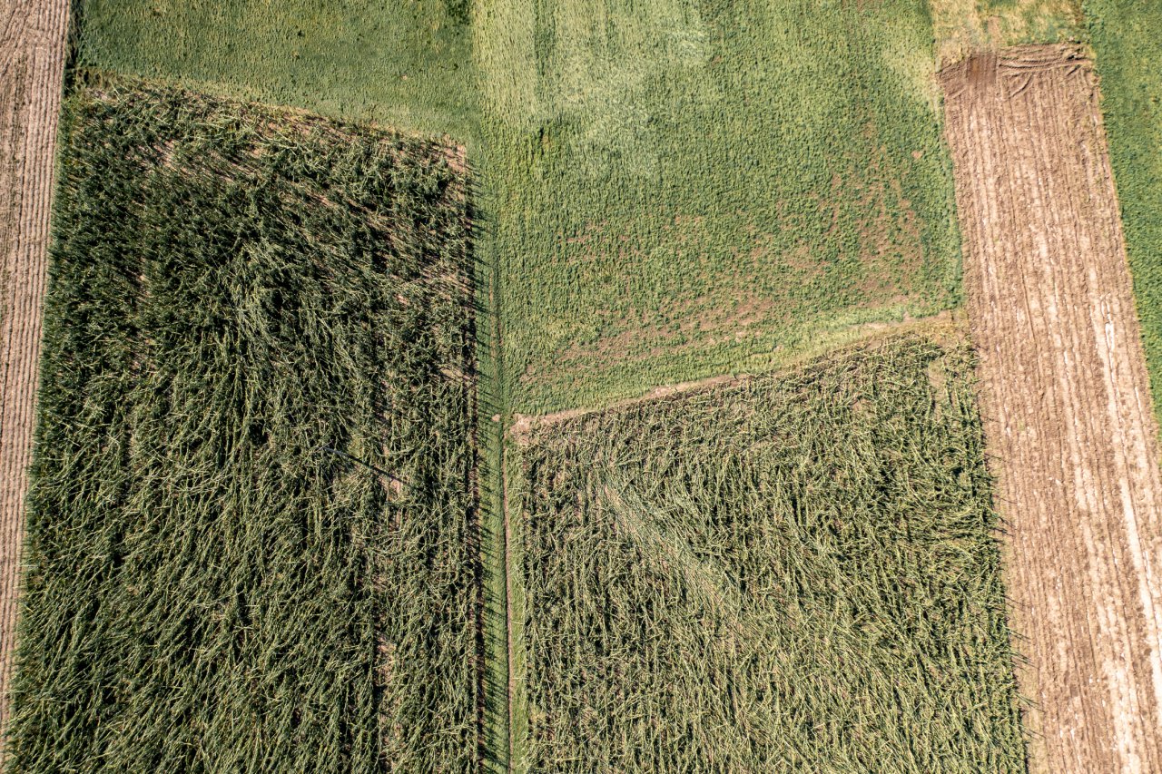 DJI_0977-HDR