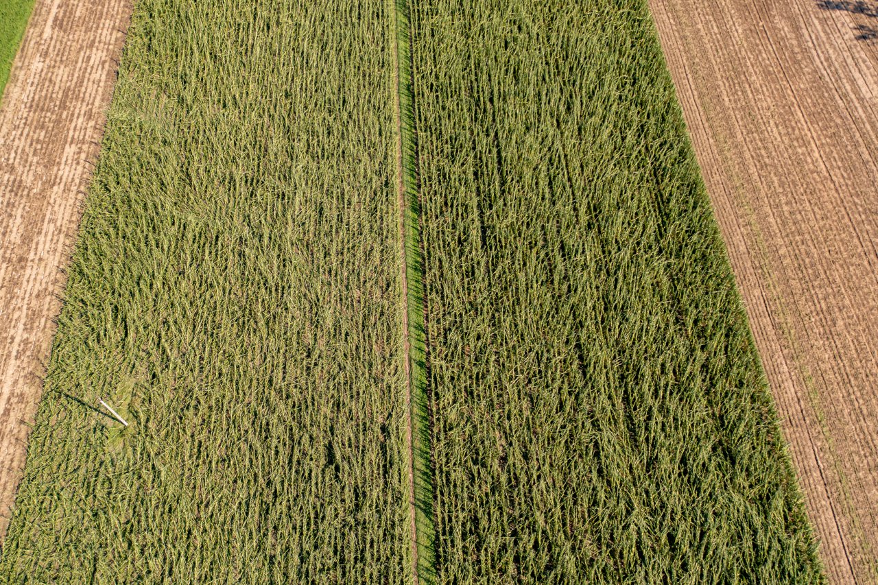 DJI_0982-HDR