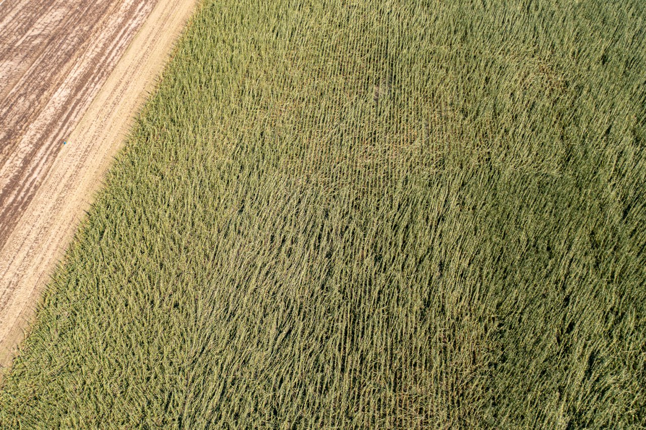 DJI_0987-HDR