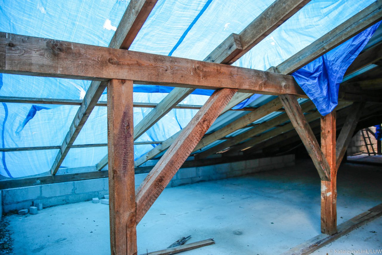 238886374_135436878776354_2289480069494005480_n