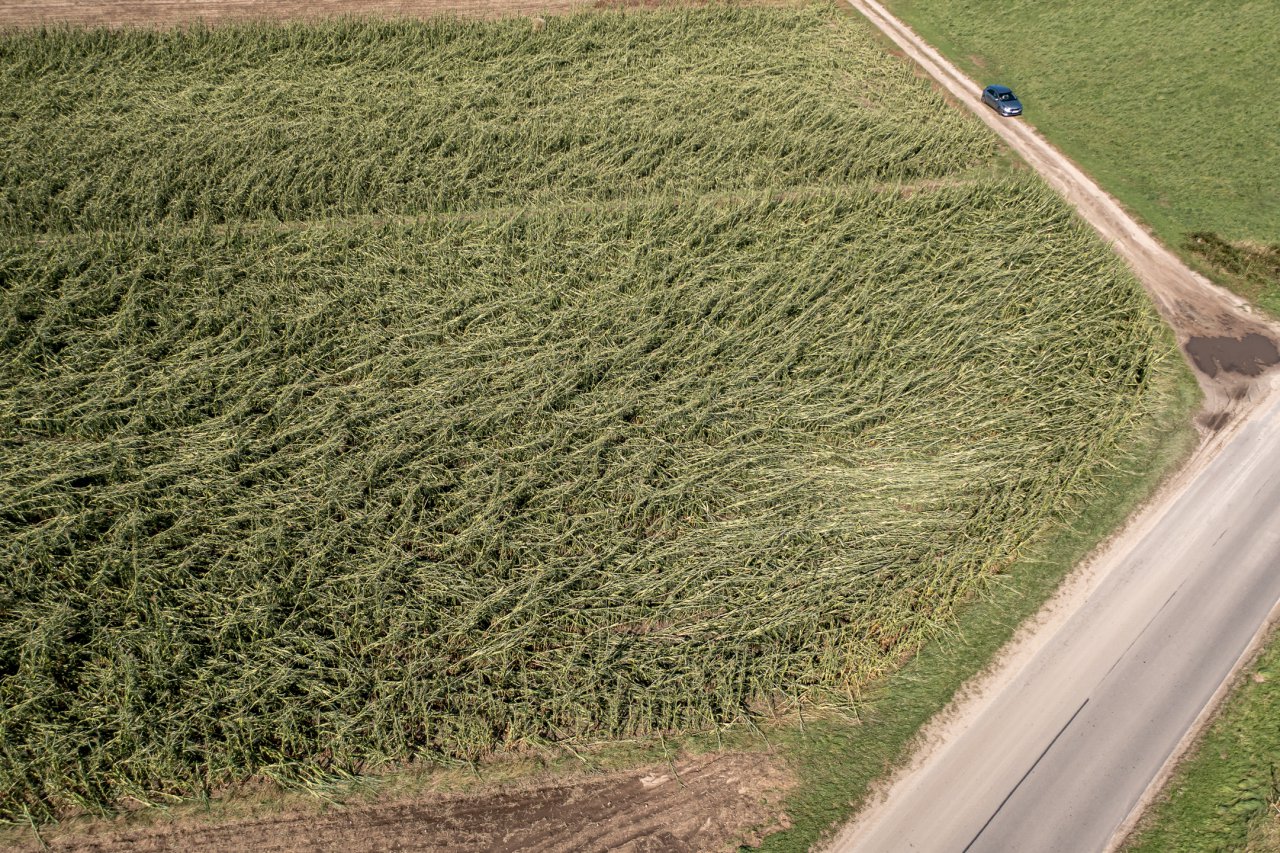 DJI_0007-HDR