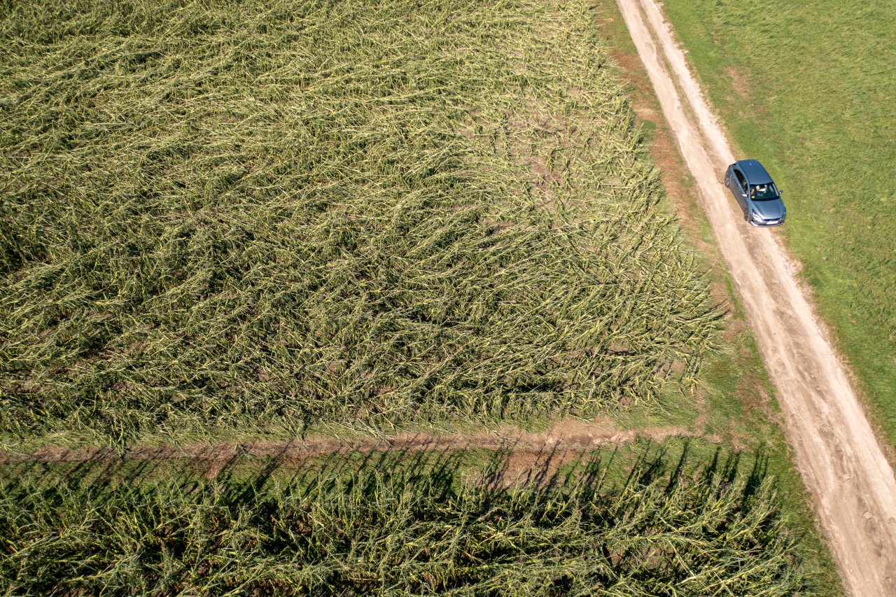 DJI_0012-HDR
