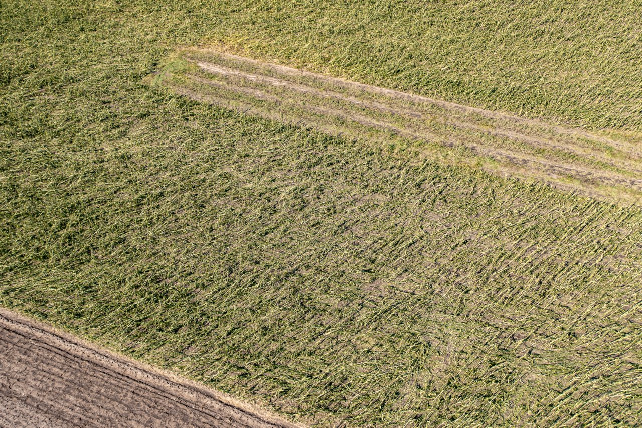 DJI_0047-HDR