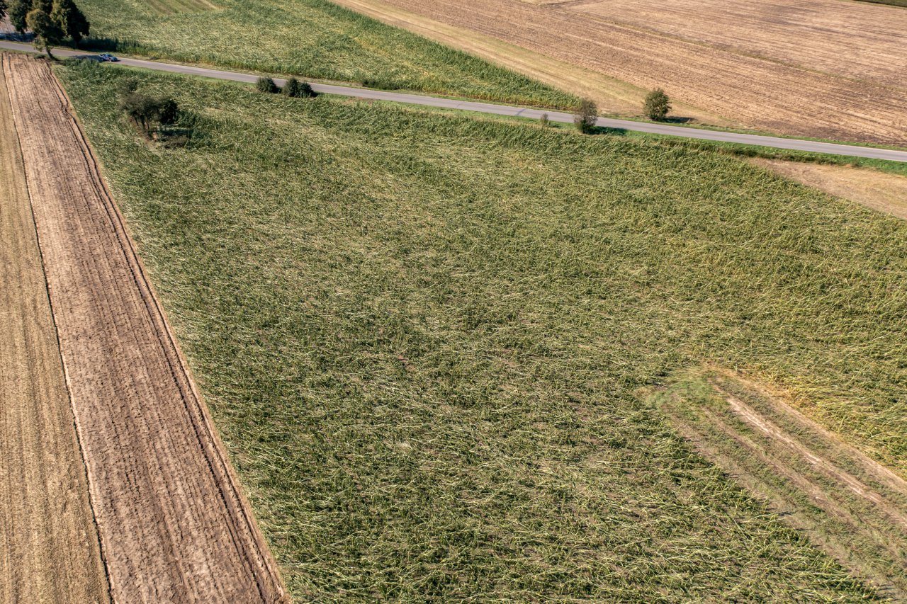 DJI_0052-HDR