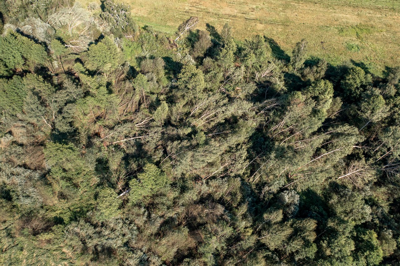 DJI_0062-HDR