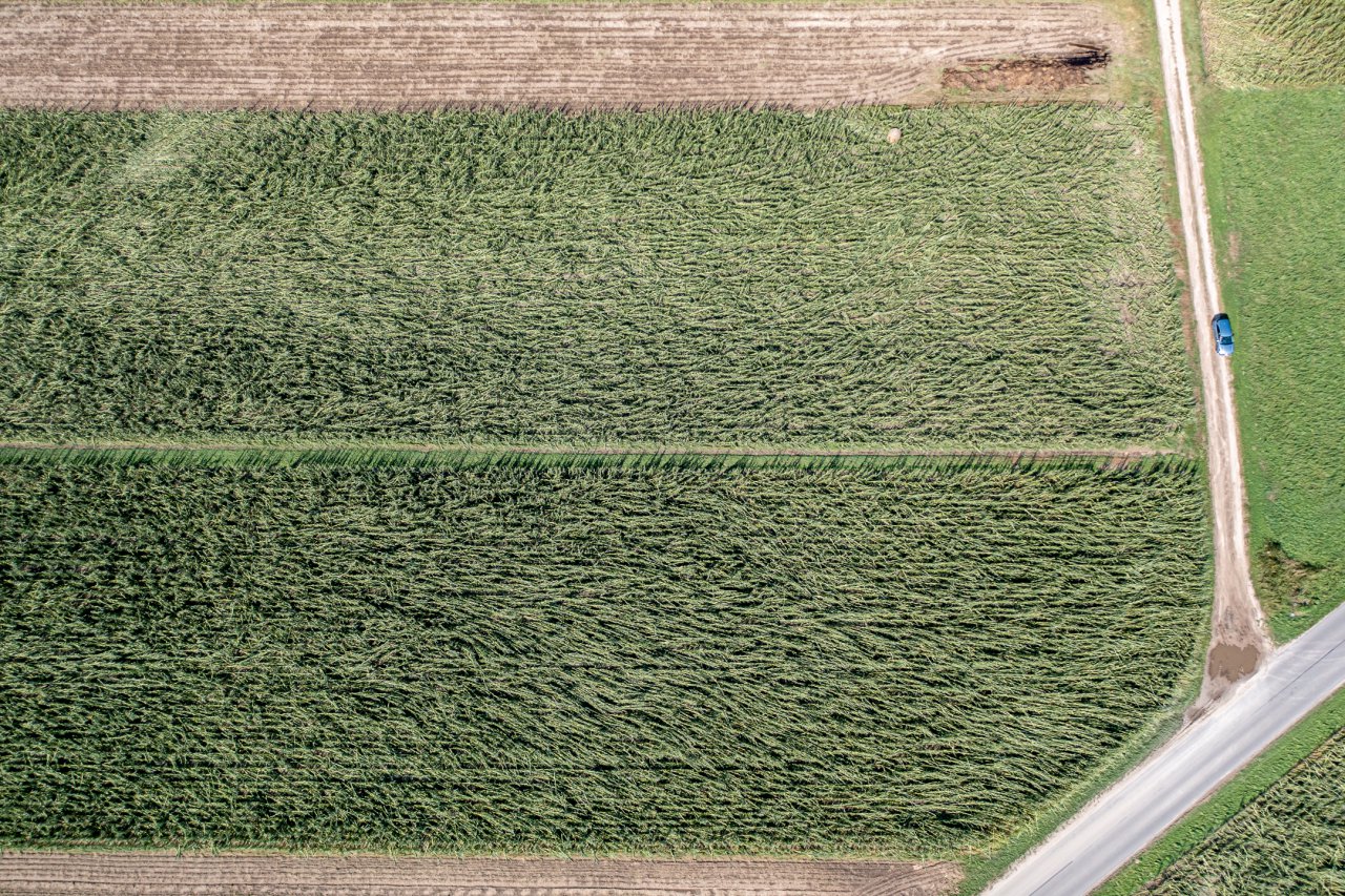 DJI_0961-HDR