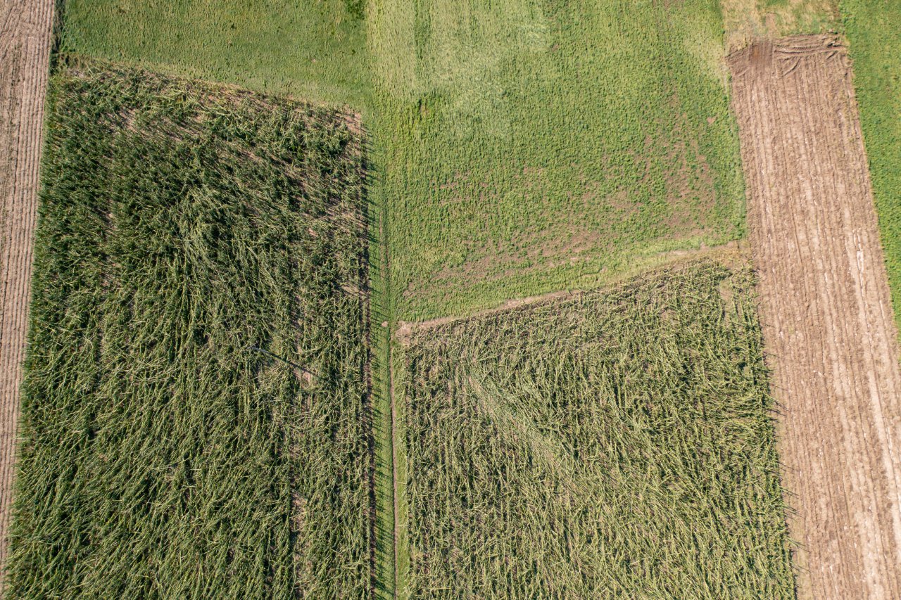 DJI_0976