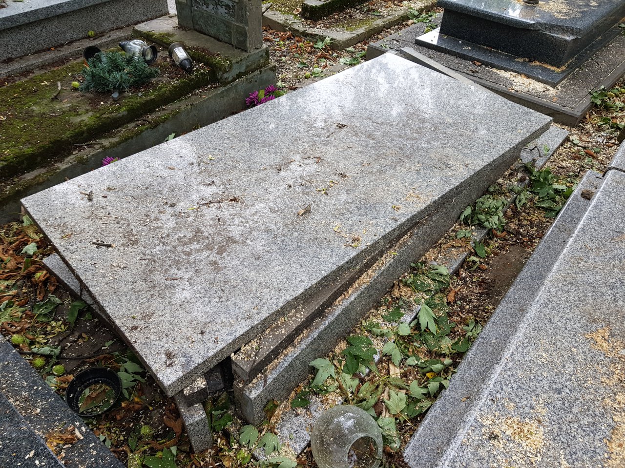 20210818_090926