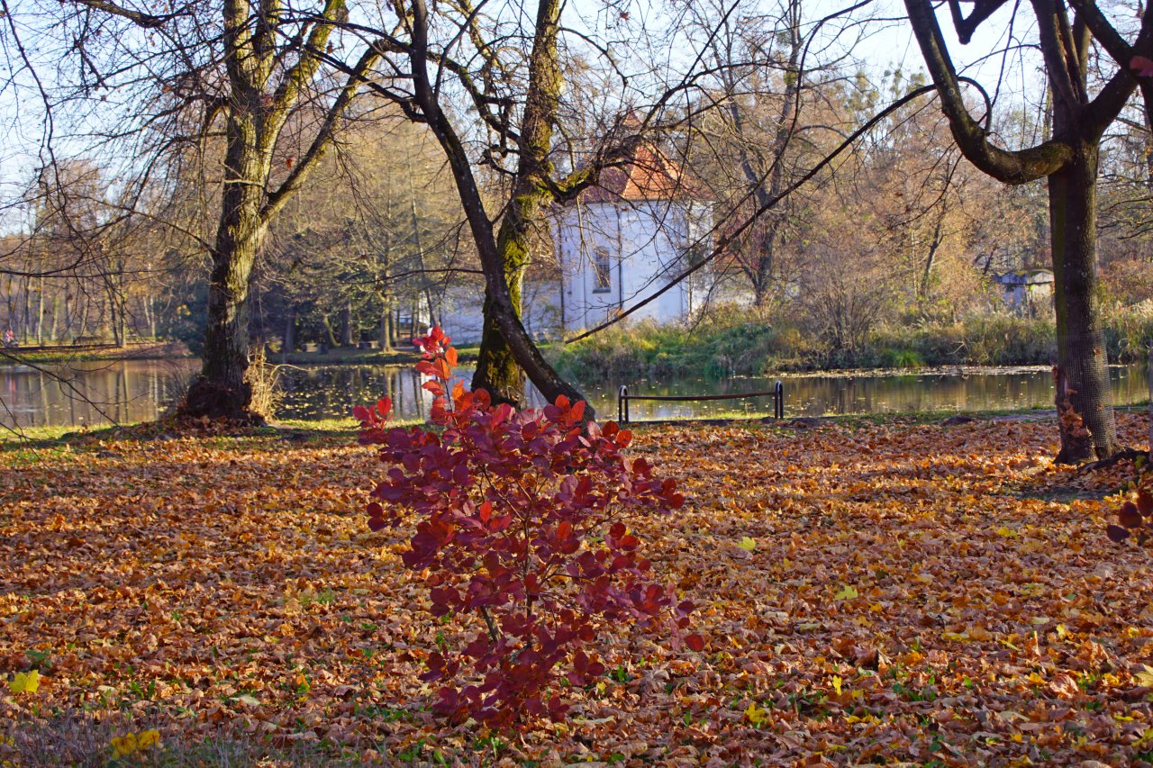 DSC06336
