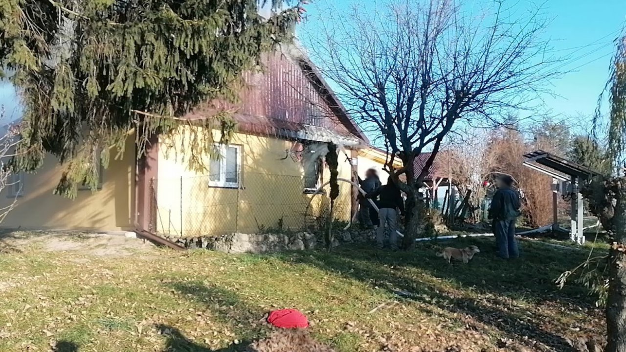 VID_20211110_134844