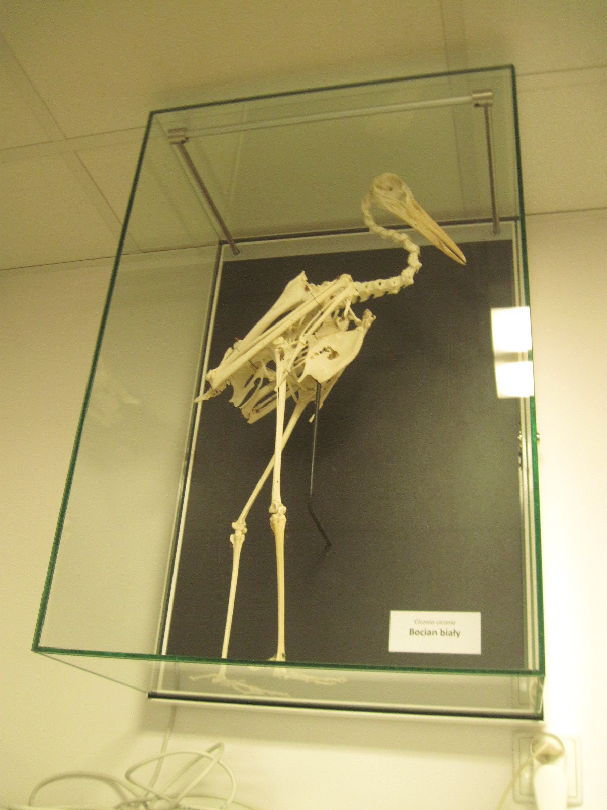 IMG_8319