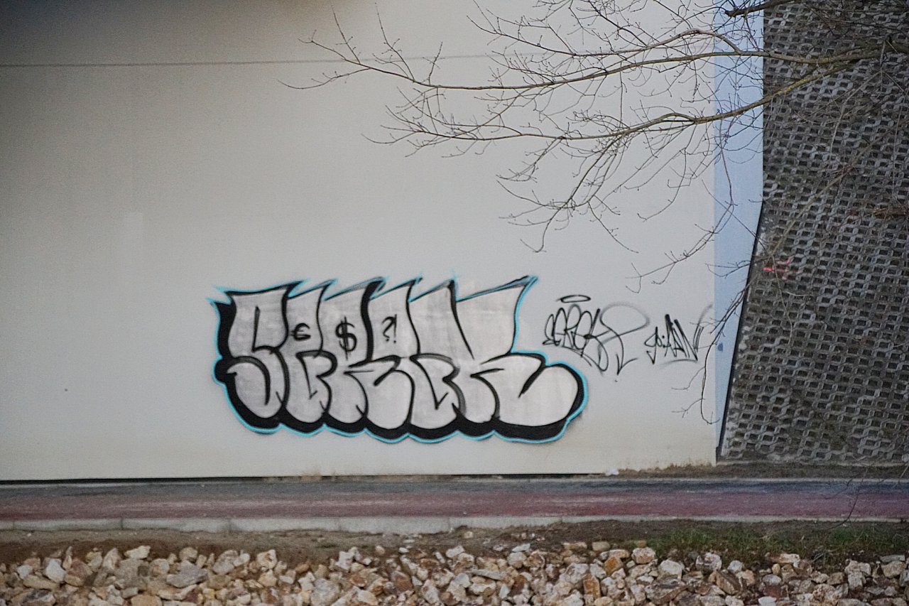 DSC09894