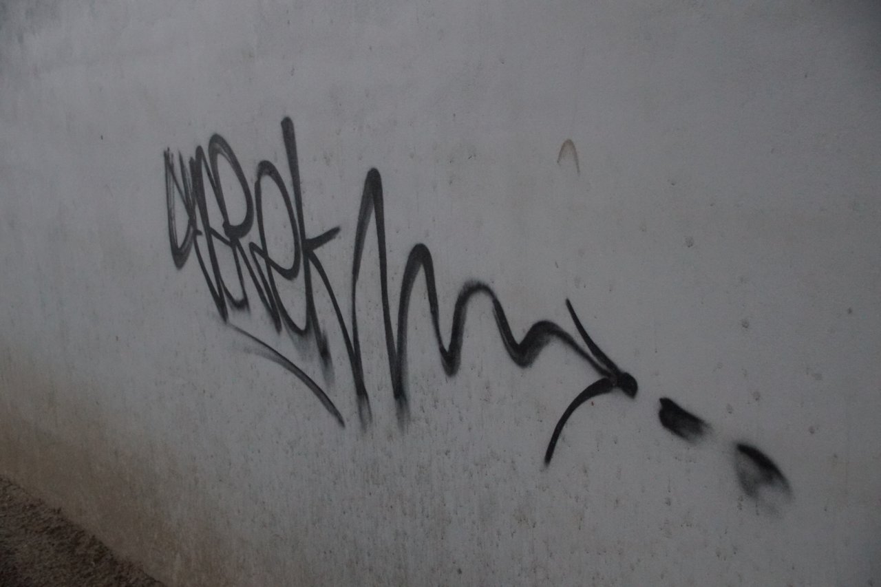 DSC09896