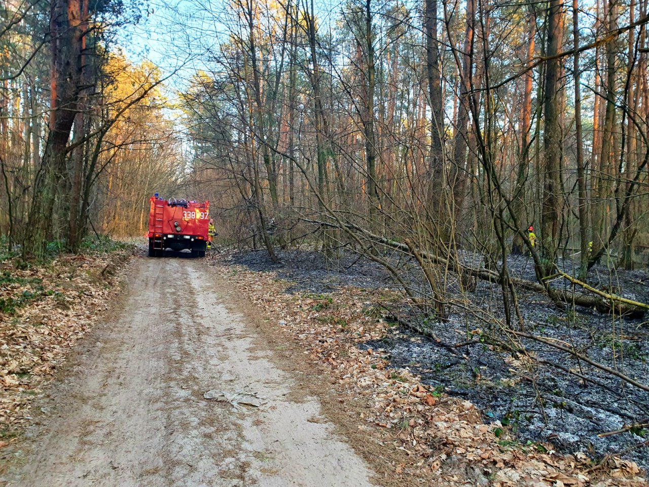 IMG-20220324-WA0002