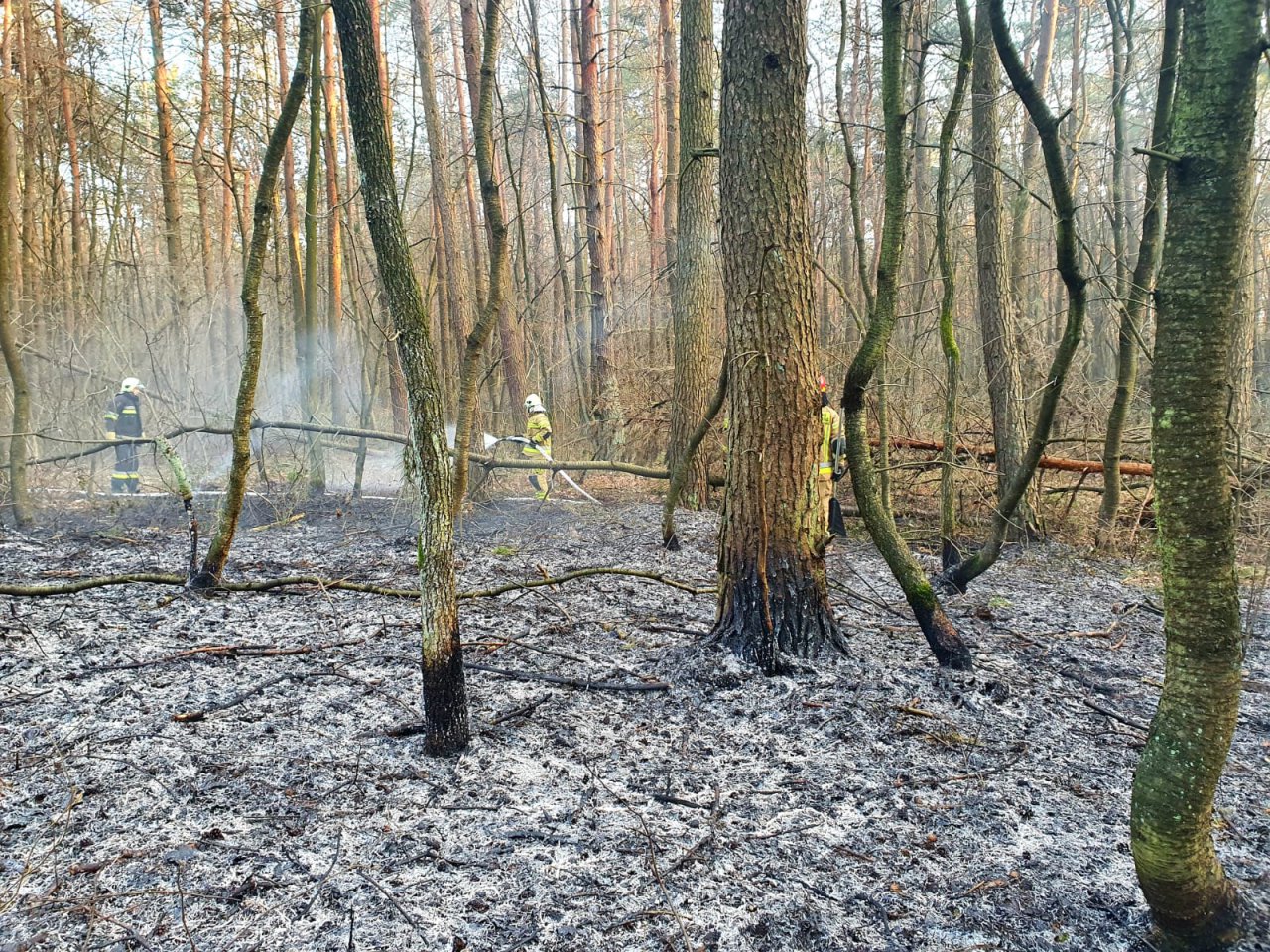IMG-20220324-WA0004