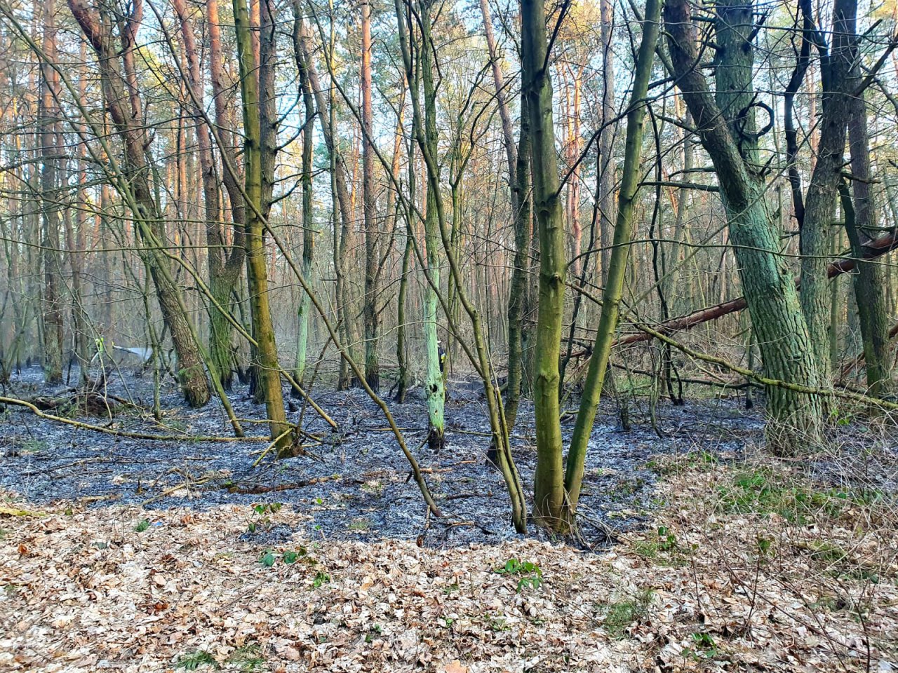 IMG-20220324-WA0006