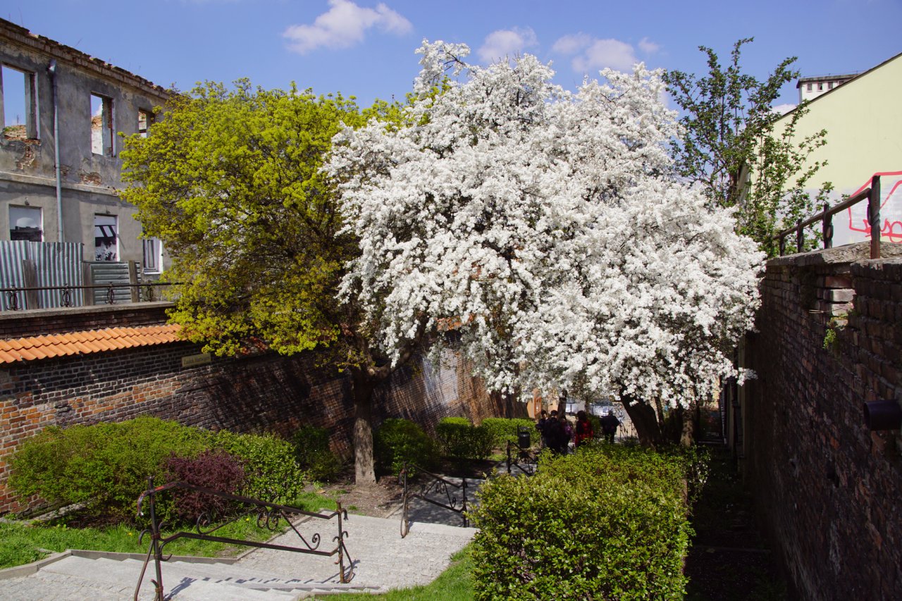 DSC06378