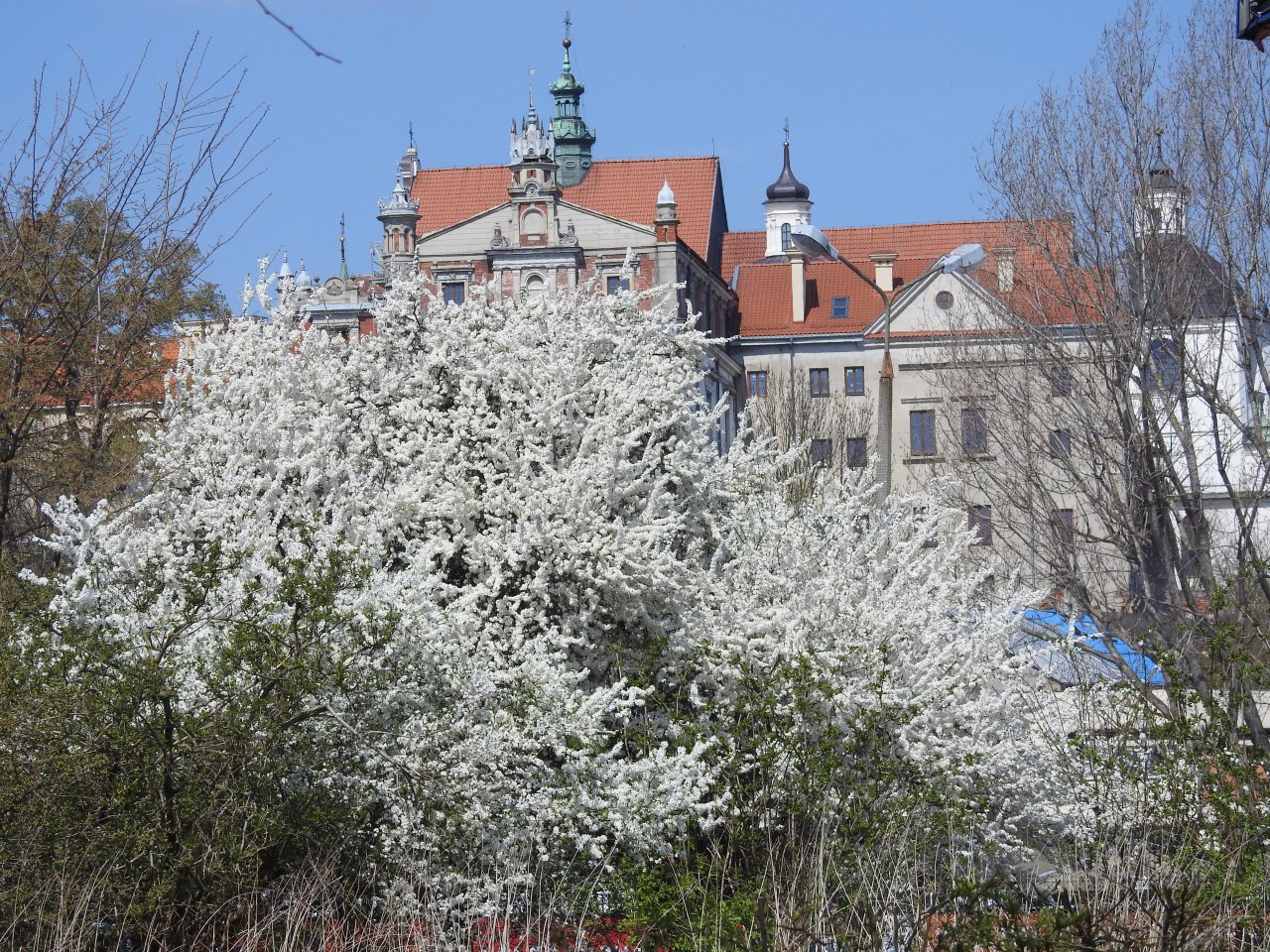 DSCN3432