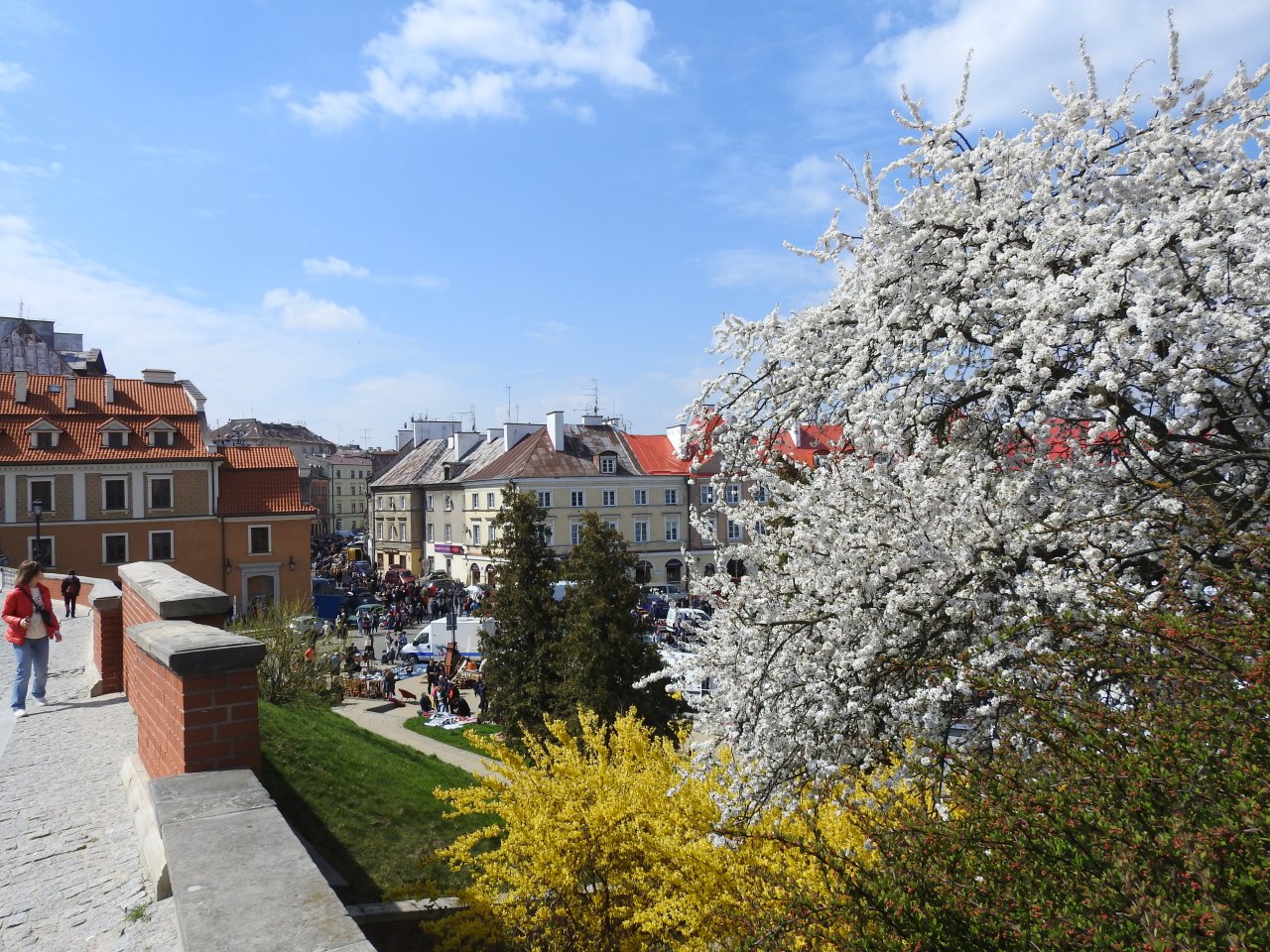 DSCN3451