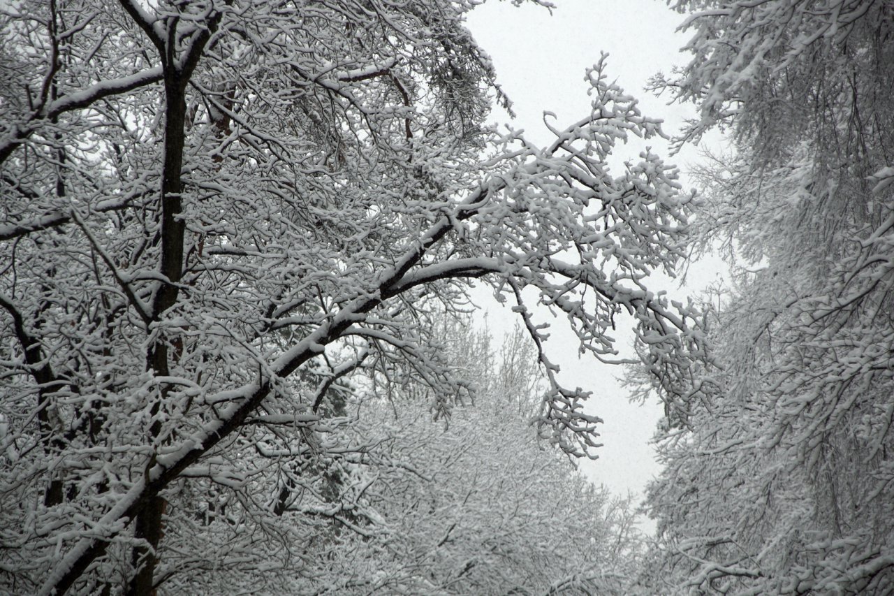 DSC04444