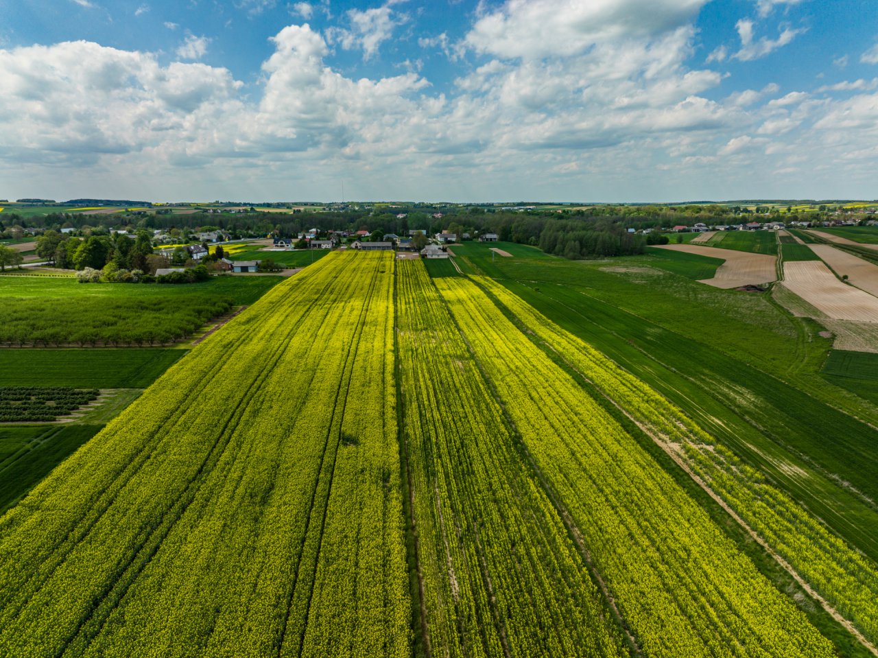 DJI_0001-HDR