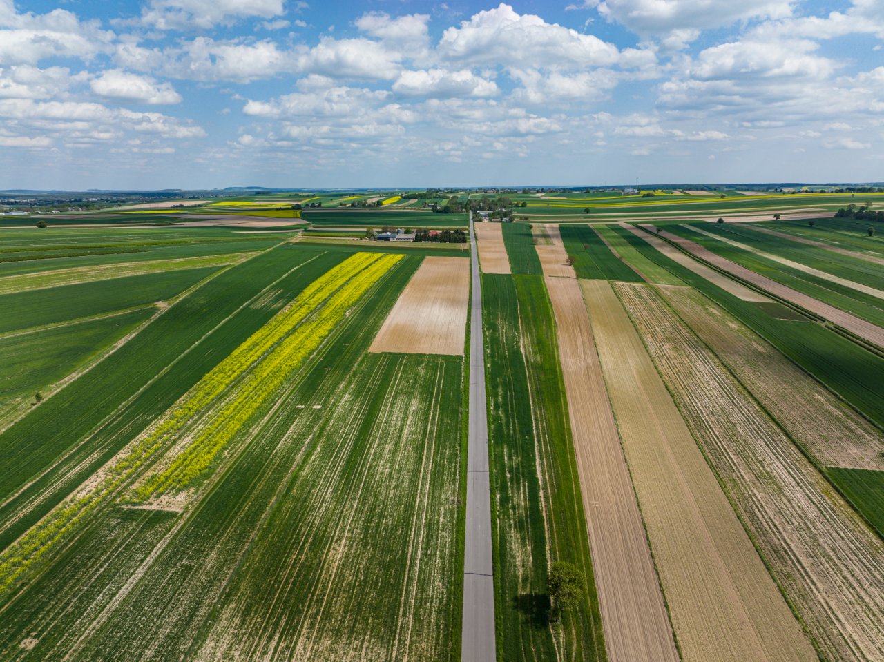 DJI_0011-HDR
