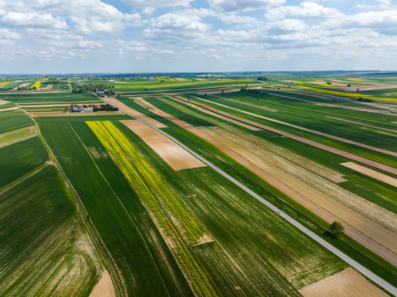 DJI_0017-HDR