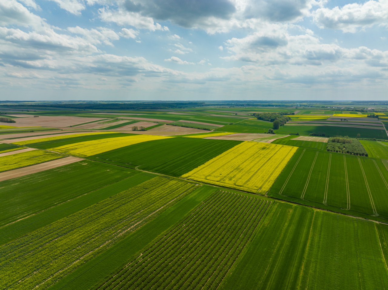 DJI_0031-HDR