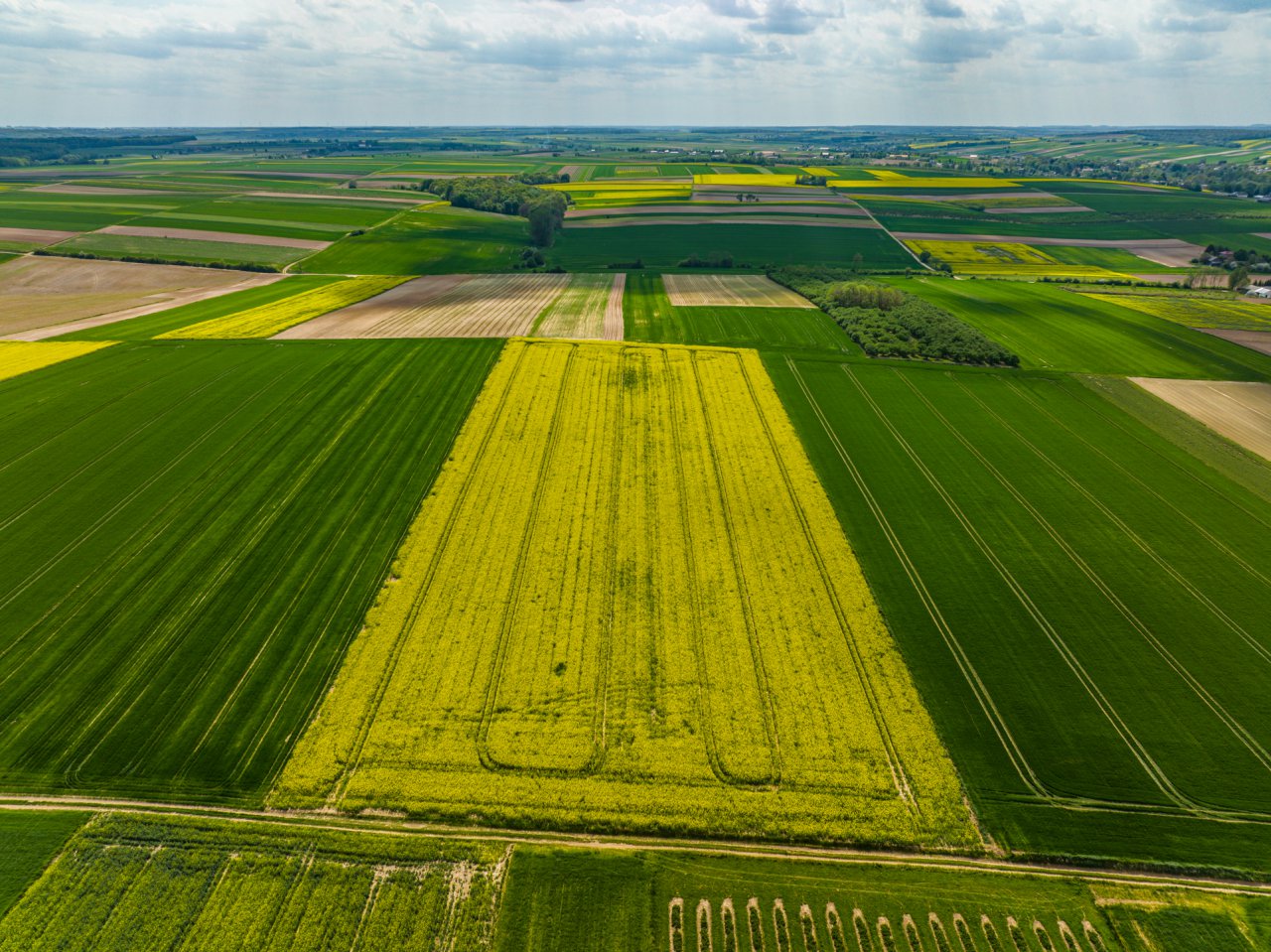 DJI_0036-HDR