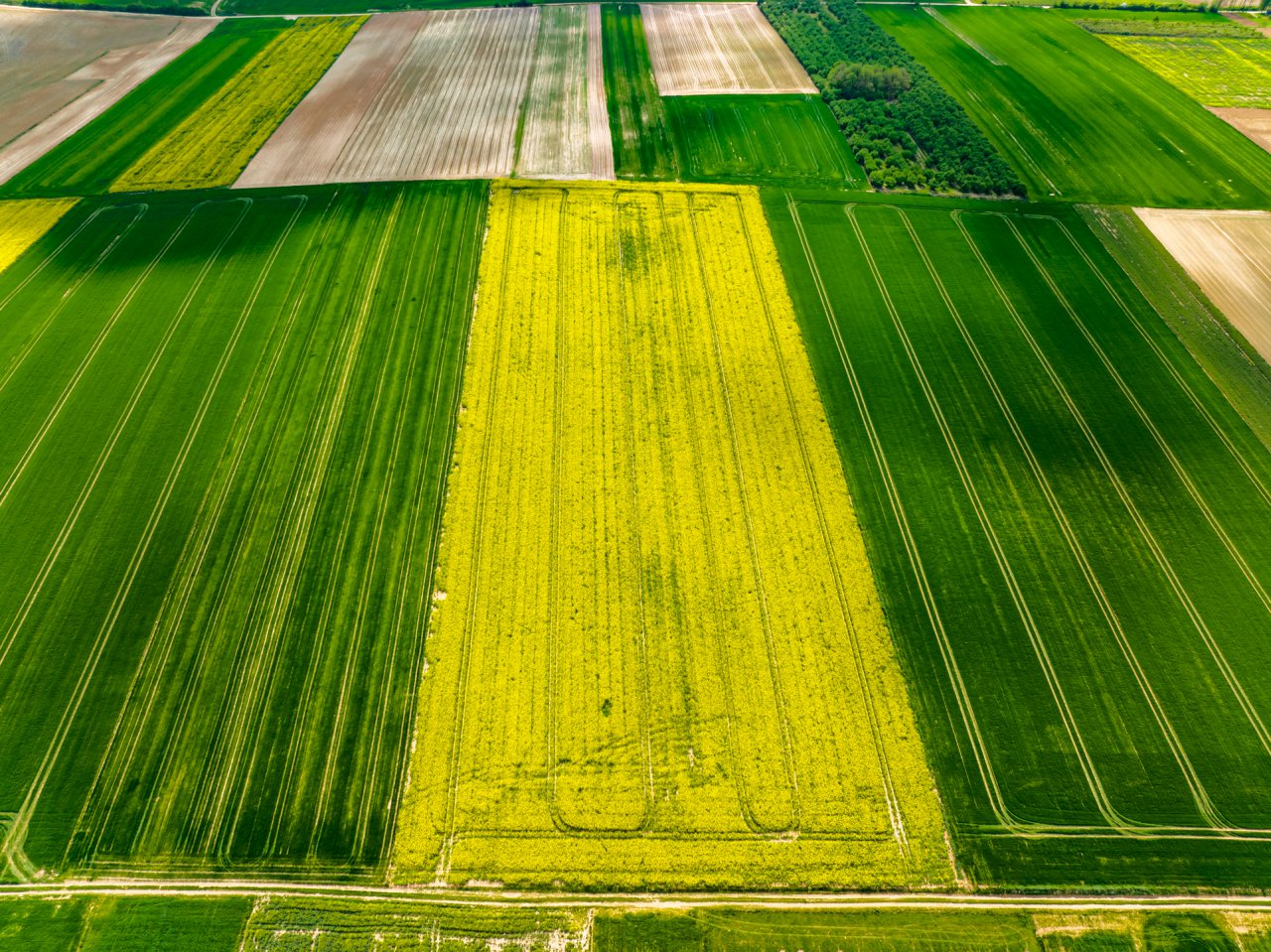 DJI_0046-HDR