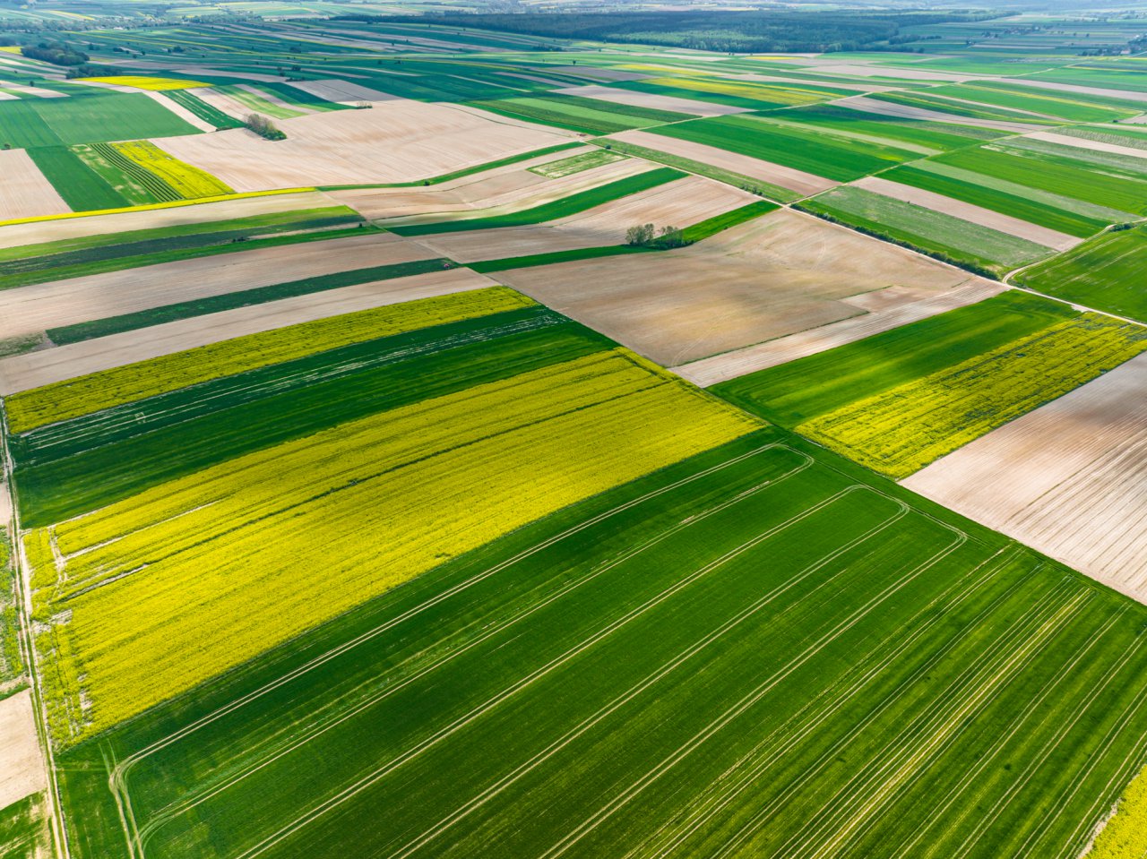 DJI_0056-HDR